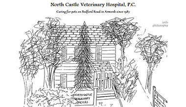 North Castle Veterinary Hospital website